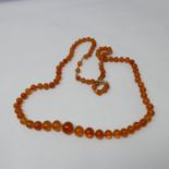 A Baltic natural amber necklace composed of 90 graduated, spherical, polished translucent amber