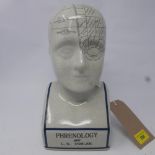 A Phrenology bust H.28cm