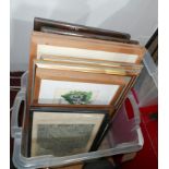 A collection of framed pictures to include engravings, prints etc.