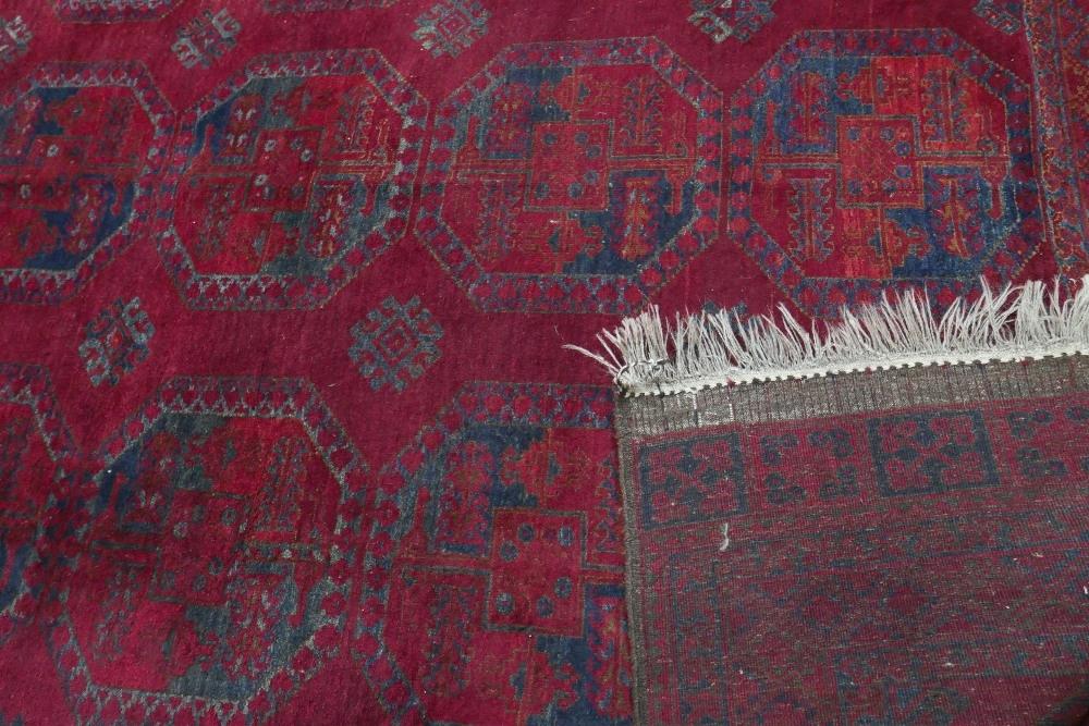 An antique Russian Afghan bokhara carpet, with large gull motifs, on a red ground, contained by - Image 6 of 6