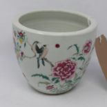 A 19th century Chinese famille rose porcelain plant pot, decorated with flora and fauna, having leaf