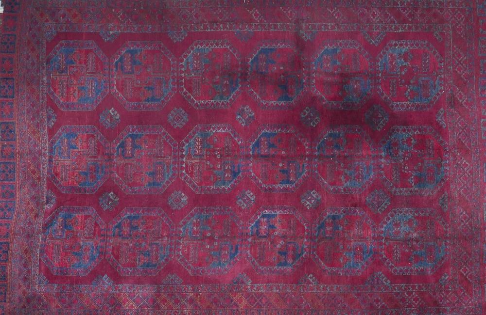 An antique Russian Afghan bokhara carpet, with large gull motifs, on a red ground, contained by - Image 2 of 6