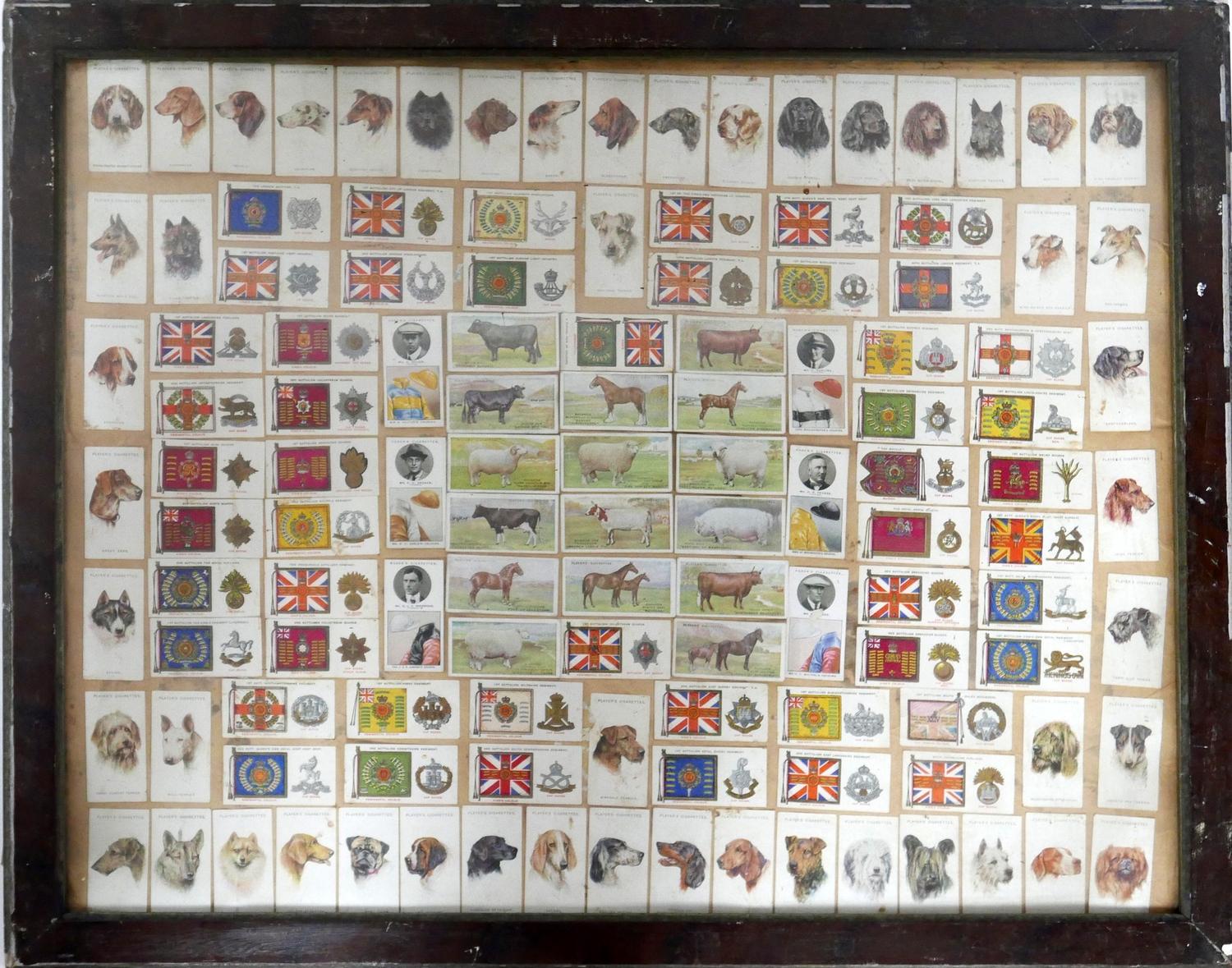 A framed and glazed collection of cigarette cards