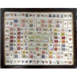 A framed and glazed collection of cigarette cards