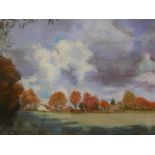 A framed and glazed pastel landscape, signed Sheila Edwards.