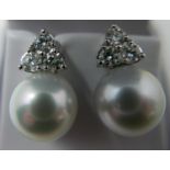 A boxed pair of 18ct white gold diamond and grey South Sea pearl earrings, each earring composed