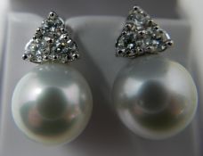 A boxed pair of 18ct white gold diamond and grey South Sea pearl earrings, each earring composed