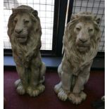 A pair of reconstituted stone lions, H.58cm