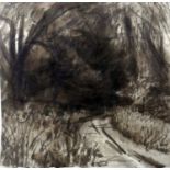 Glenn Priestley (b.1955), ink on paper titled 'Willows', with gallery label to verso, 14 x 14cm