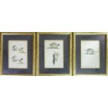 A set of three gilt framed prints of animals, each with carved ebonised wooden mounts, 28 x 19cm