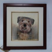A framed and glazed pastel of a terrier indistinctly signed. H.31 W.28cm