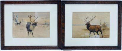 Allan Brooks (1869-1946), 'Stag in the Snow' and a Stag by a Lake, a pair of watercolours, both