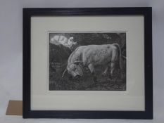 Charles Tuncliff (1901-1979), wood engraving, titled 'The Chartley Bull', 23 x 31cm