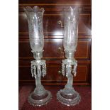 A pair of Baccarat crystal storm lanterns with etched glass shades on dolphin supports. H.59cm