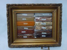 Specimen spices in a 19th century gilt frame. H.31 W.38cm