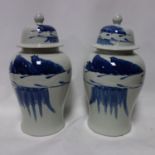 A pair of Chinese temple jars and covers, H.50cm (2)