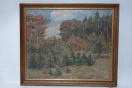 Tony Muller (1873-1965), Woodland landscape, oil on canvas, signed lower left, 53 x 66cm