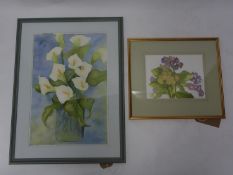 A large framed and glazed watercolour of Irises, indistinctly signed (H.54 W.36cm) and another