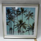 A framed print of palm trees, 66 x 64cm