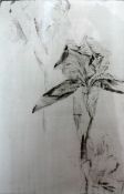 A limited edition drypoint etching of flowers, signed and dated 1983 in pencil to lower margin,