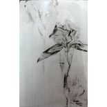 A limited edition drypoint etching of flowers, signed and dated 1983 in pencil to lower margin,