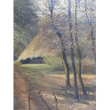 Peter Meurs (20th century Dutch school), Forest View, oil on canvas, signed lower left, 49 x 39cm