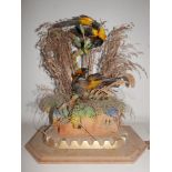 A taxidermy study of birds in naturalist setting, H.48cm