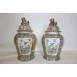 A pair of 20th century Chinese famille rose temple jars and covers, with Dog of Fo finial, decorated