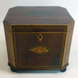 An Edwardian mahogany and box-wood tea caddy with shell motif in roundel to central on four bun