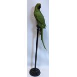 A model parrot on a floor standing perch, H.122cm