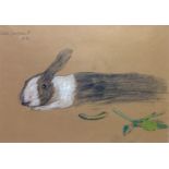 John Sergeant (1937-2010), rabbit, pencil & watercolour, dated 1981, 23 x 30cm