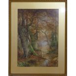 A watercolour of a haunting woodland scene signed Taylor Ireland, 63 x 44cm