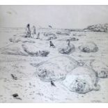 John Philip Busby, R.S.W, R.S.A (1928-2015), pencil drawing of sea lions on a beach, 53 x 55cm