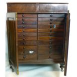 A Victorian mahogany specimen cabinet with two drawers over two cupboard doors, enclosing 22