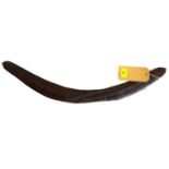 An early 20th century Australian boomerang, L.65cm
