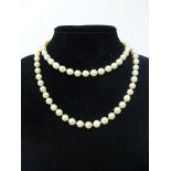 A long fine row of cream-coloured cultured pearls, L: 56cm, 48g