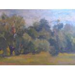 An early 20th century oil on board of trees in a landscape, 29 x 39cm, unsigned, gilt-framed