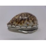 A white metal and tiger cowrie shell snuff box, with hinged lid, H.3.5 W.6 D.4.5cm