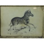 J. W. Ryall (19th century British school), A Zebra with mountain to background, pen and ink,