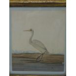 A 19th century watercolour of a bird by a pond, in giltwood and gesso frame, 19 x 16cm, with label