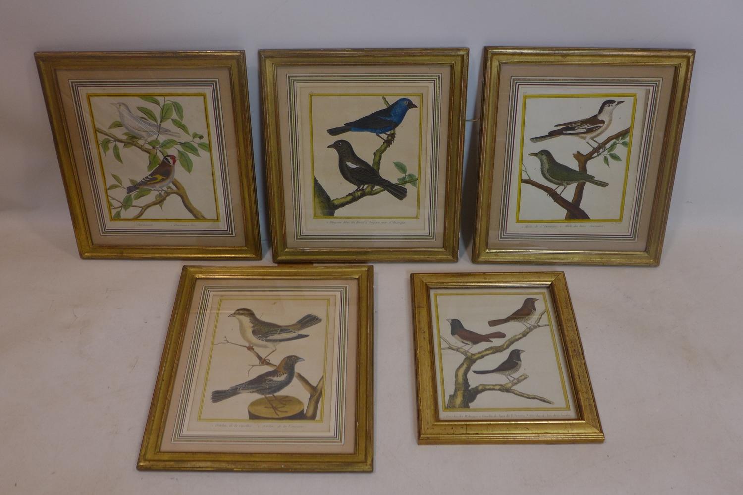 A set of five early 19th century French hand-coloured prints of birds, to include Blackbirds,