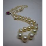 A fine strand of graduated cultured pearls with a creamy-pink hue to an 18ct yellow gold and