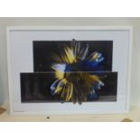 A diptych photographic print of a flower, from Studio Bezalel, in white frame, 49 x 69cm