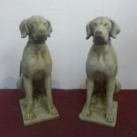 Two reconstituted stone seated hunting dogs, H.72cm (2)