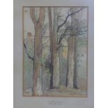 Emily Houghton Birch, 'Elm Trees, Lamorna', watercolour, signed and dated 1920 to lower right