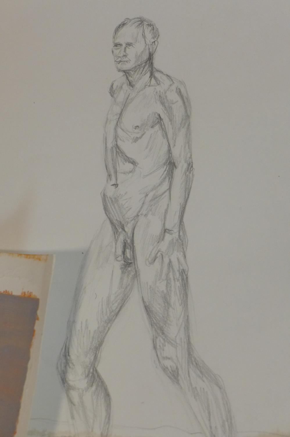 Ruby Head (Contemporary artist), a collection of original nude life-drawings, to include - Image 3 of 5