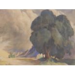 An early 20th century, large framed and glazed watercolour of a tree under moody skies, unsigned, 38