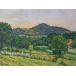 A 20th century oil on canvas of a landscape scene with red-roofed house, signed Hanlando bottom