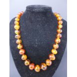 A vintage Latvian polished natural amber necklace of 37 spherical graduated beads, L: 58cm, 65g