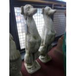 A pair of reconstituted stone seated greyhounds, on square bases, H.74cm